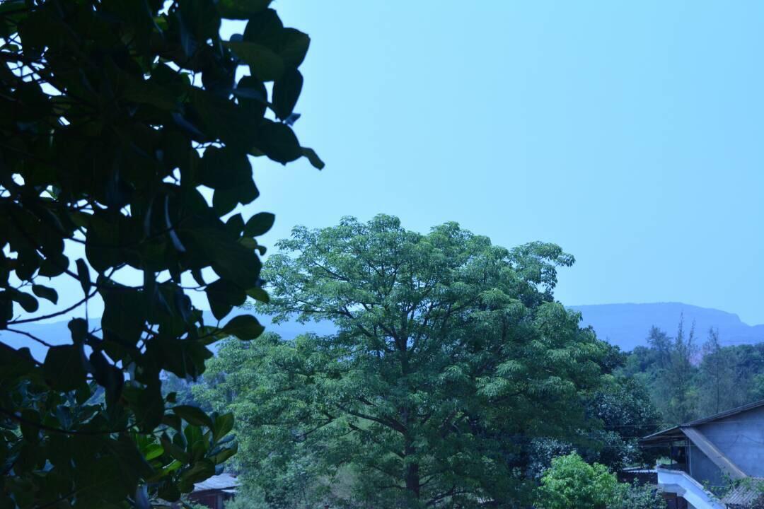 Mango Holiday Resort, Amba Kolhapur Exterior photo