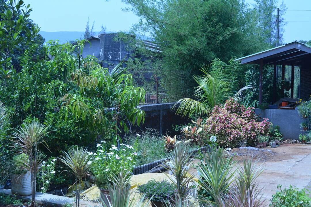Mango Holiday Resort, Amba Kolhapur Exterior photo