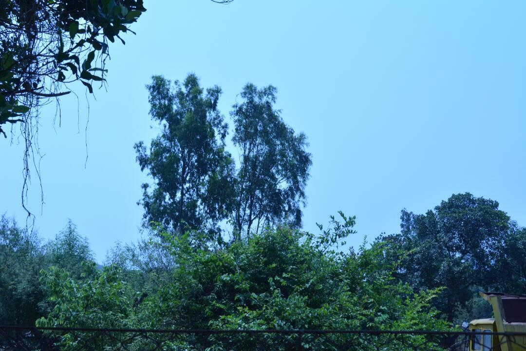Mango Holiday Resort, Amba Kolhapur Exterior photo