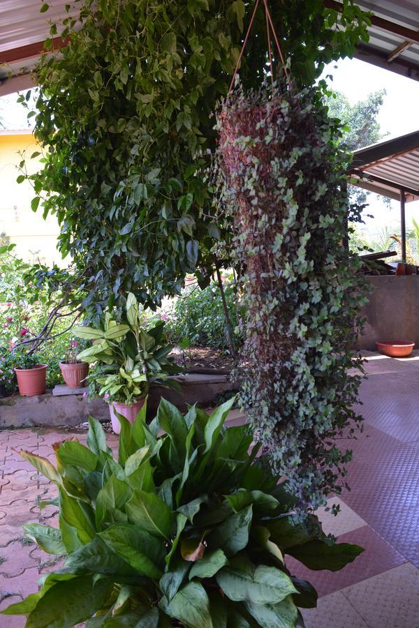 Mango Holiday Resort, Amba Kolhapur Exterior photo
