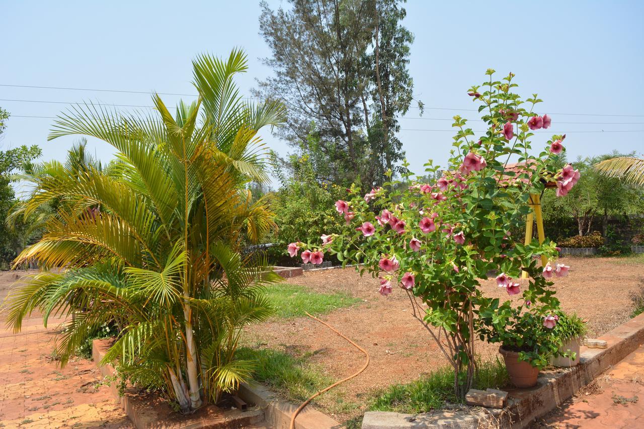 Mango Holiday Resort, Amba Kolhapur Exterior photo